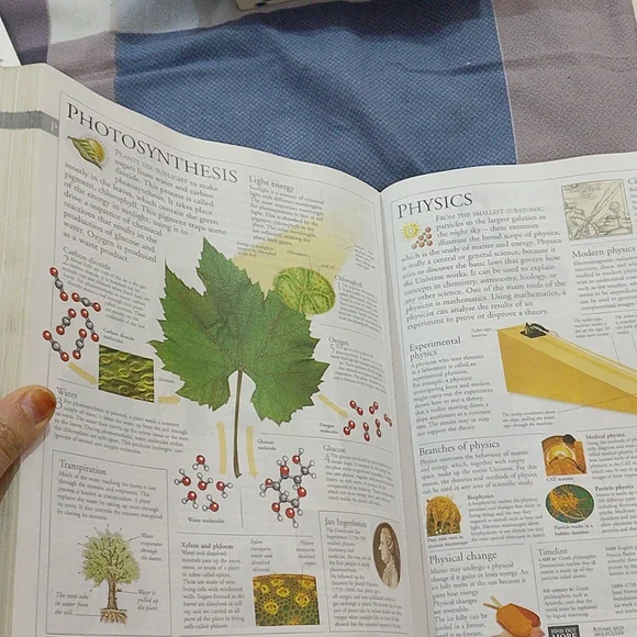 Family Encyclopaedia - Picture 14 of 15